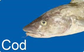 cod.png