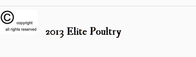 elite-chickens.PNG