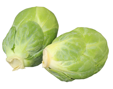 brussell_sprouts.png