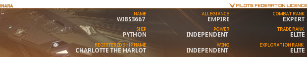 Pilots licence.png