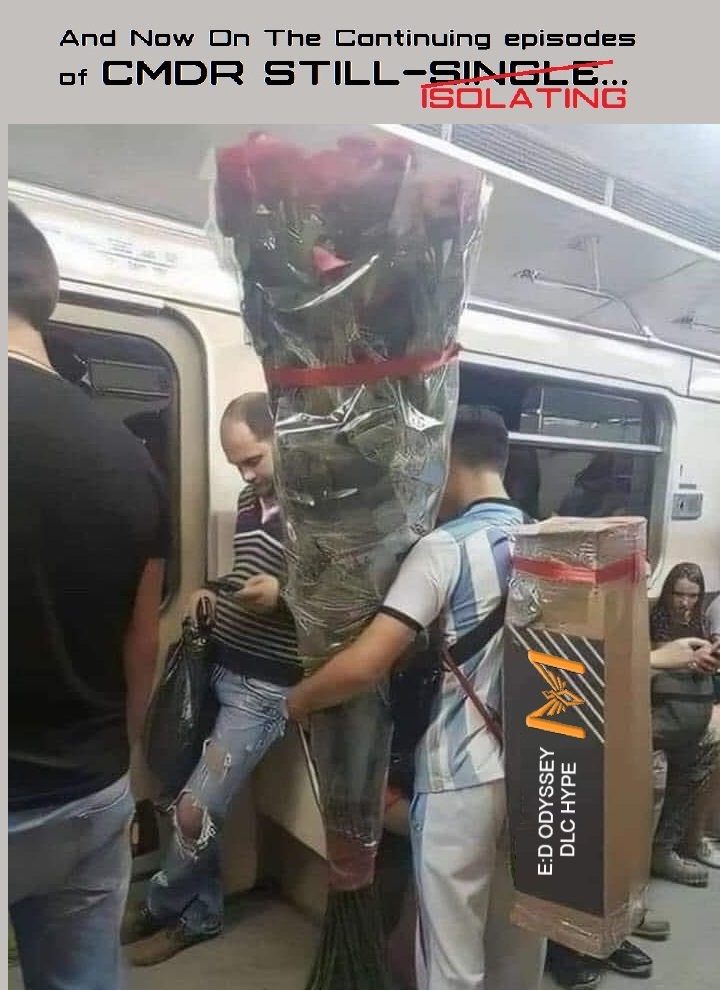 still single - roses.jpg