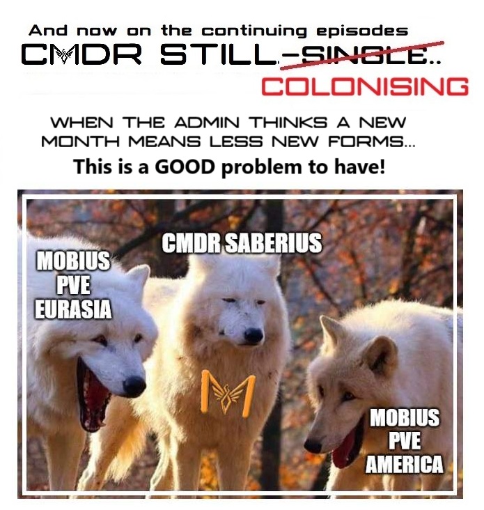 still single - Unimpressed Wolf.jpg